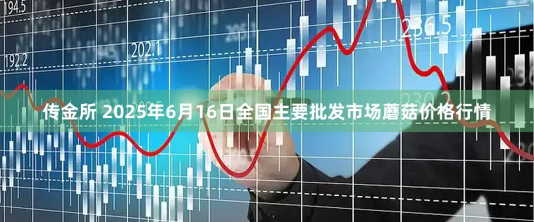 传金所 2025年6月16日全国主要批发市场蘑菇价格行情