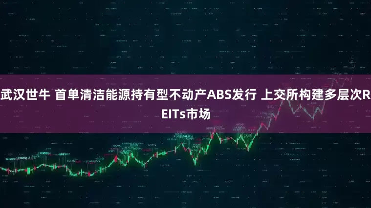 武汉世牛 首单清洁能源持有型不动产ABS发行 上交所构建多层次REITs市场