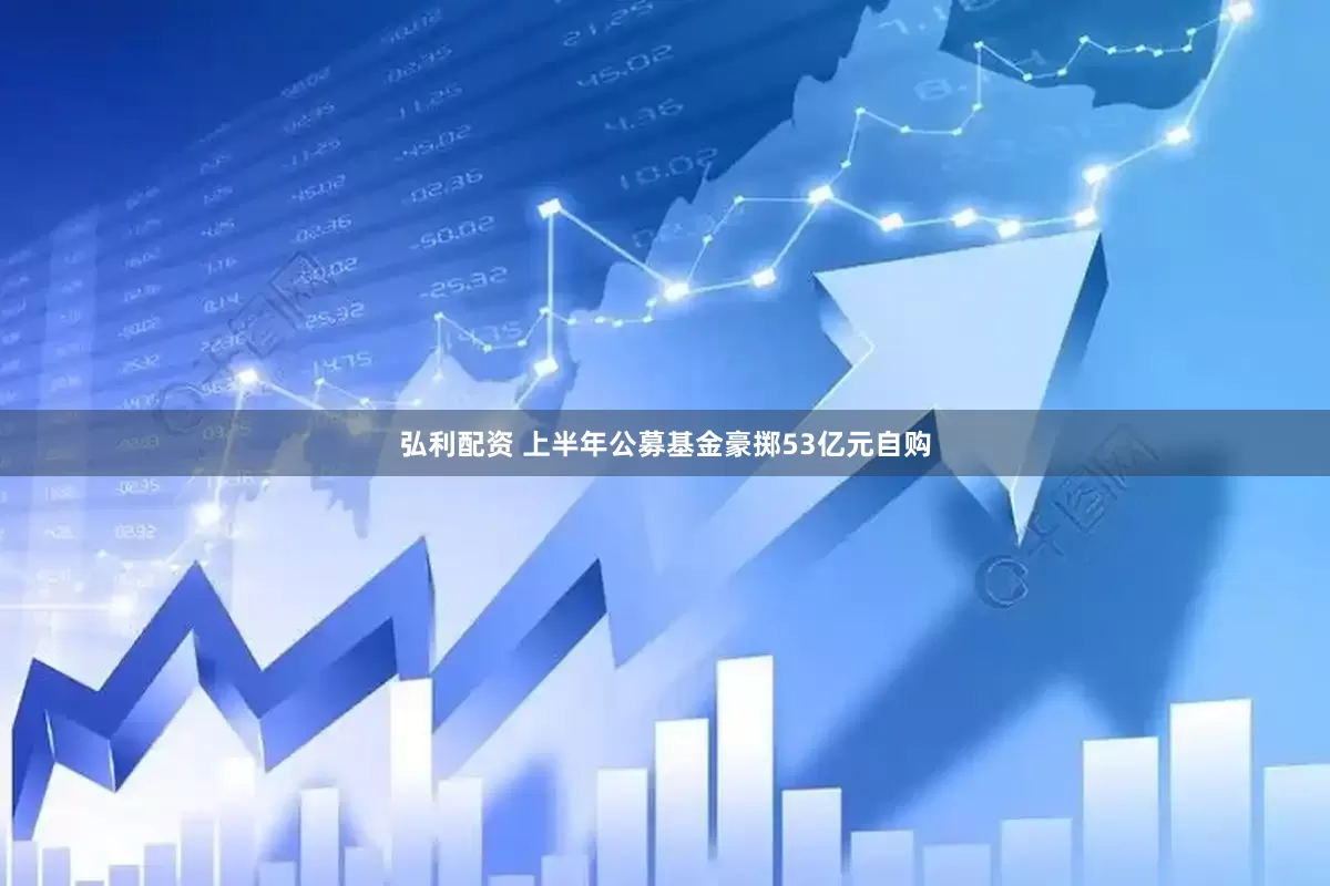 弘利配资 上半年公募基金豪掷53亿元自购