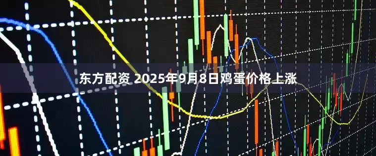 东方配资 2025年9月8日鸡蛋价格上涨