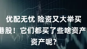 优配无忧 险资又大举买入港股！它们都买了些啥资产呢？