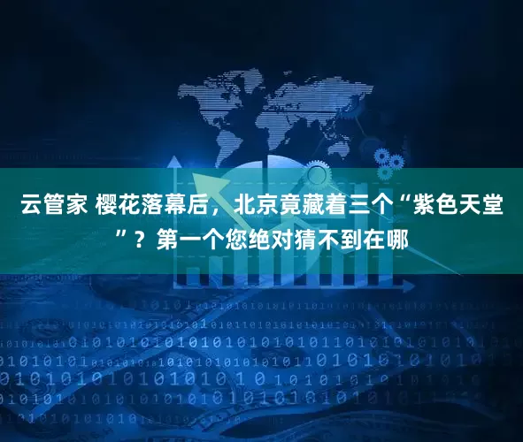 云管家 樱花落幕后，北京竟藏着三个“紫色天堂”？第一个您绝对猜不到在哪